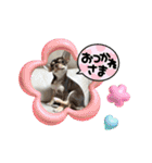 もちおと愉快な仲間たち7（個別スタンプ：21）