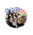 もちおと愉快な仲間たち7（個別スタンプ：23）