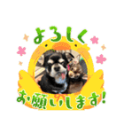 もちおと愉快な仲間たち7（個別スタンプ：26）