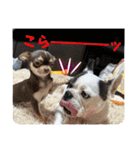 もちおと愉快な仲間たち7（個別スタンプ：30）