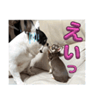 もちおと愉快な仲間たち7（個別スタンプ：32）