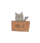 たわし猫の日常（個別スタンプ：13）