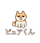 犬味 新しい道徳（個別スタンプ：11）