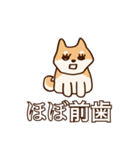 犬味 新しい道徳（個別スタンプ：14）