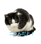 RIRI＆RON⑫（個別スタンプ：2）
