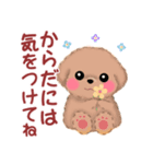 かわいいbabyトイプードル（個別スタンプ：29）