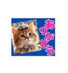 [動く]ポップアップ 猫1（個別スタンプ：2）