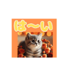 [動く]ポップアップ 猫1（個別スタンプ：3）