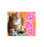 [動く]ポップアップ 猫1（個別スタンプ：5）