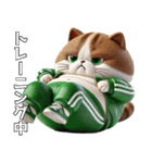 緑ジャージネコ(筋トレ)（個別スタンプ：9）