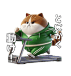 緑ジャージネコ(筋トレ)（個別スタンプ：18）