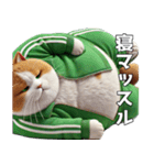 緑ジャージネコ(筋トレ)（個別スタンプ：32）