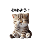 【ずっと使える】毎日マンチカン（個別スタンプ：6）
