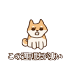 犬味 お互い様（個別スタンプ：10）