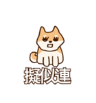 犬味 お互い様（個別スタンプ：33）