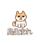 犬味 お互い様（個別スタンプ：35）