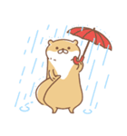 usamusiのカワウソ17（個別スタンプ：33）