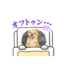 中村ココ（個別スタンプ：11）