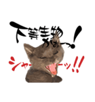 色も心もグレーなスイちゃん。（個別スタンプ：6）