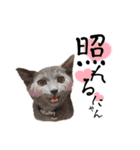 色も心もグレーなスイちゃん。（個別スタンプ：16）