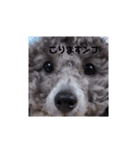 ルルのスタンプ2！！（個別スタンプ：8）