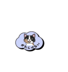 ミケ猫のつぶやきLINEスタンプ（個別スタンプ：5）
