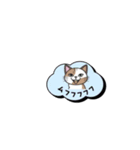 ミケ猫のつぶやきLINEスタンプ（個別スタンプ：7）
