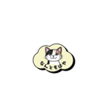 ミケ猫のつぶやきLINEスタンプ（個別スタンプ：15）