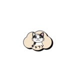 ミケ猫のつぶやきLINEスタンプ（個別スタンプ：16）