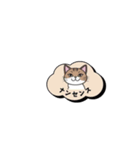 ミケ猫のつぶやきLINEスタンプ（個別スタンプ：17）