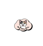 ミケ猫のつぶやきLINEスタンプ（個別スタンプ：18）