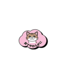 ミケ猫のつぶやきLINEスタンプ（個別スタンプ：19）