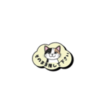 ミケ猫のつぶやきLINEスタンプ（個別スタンプ：23）