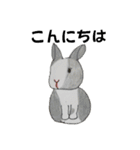 うさたん楽しむ（個別スタンプ：1）