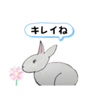 うさたん楽しむ（個別スタンプ：3）