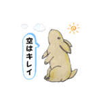 うさたん楽しむ（個別スタンプ：5）