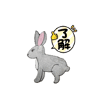うさたん楽しむ（個別スタンプ：8）