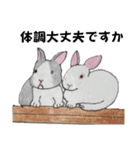うさたん楽しむ（個別スタンプ：11）