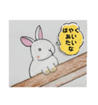 うさたん楽しむ（個別スタンプ：12）