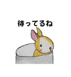 うさたん楽しむ（個別スタンプ：13）