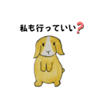 うさたん楽しむ（個別スタンプ：16）