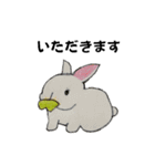 うさたん楽しむ（個別スタンプ：17）