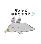 うさたん楽しむ（個別スタンプ：24）