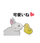 うさたん楽しむ（個別スタンプ：28）