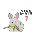 うさたん楽しむ（個別スタンプ：31）