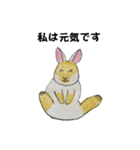 うさたん楽しむ（個別スタンプ：33）