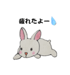 うさたん楽しむ（個別スタンプ：35）