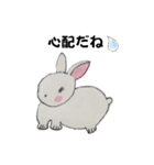 うさたん楽しむ（個別スタンプ：39）