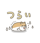 うごく！しば犬のぐだぐだスタンプ（個別スタンプ：7）