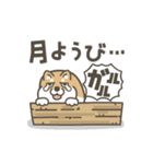 うごく！しば犬のぐだぐだスタンプ（個別スタンプ：14）